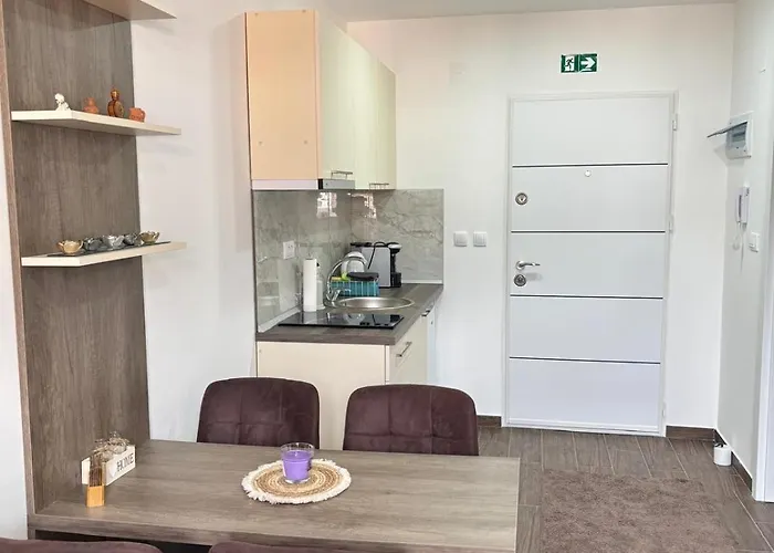 Sojmeskovic 公寓 *