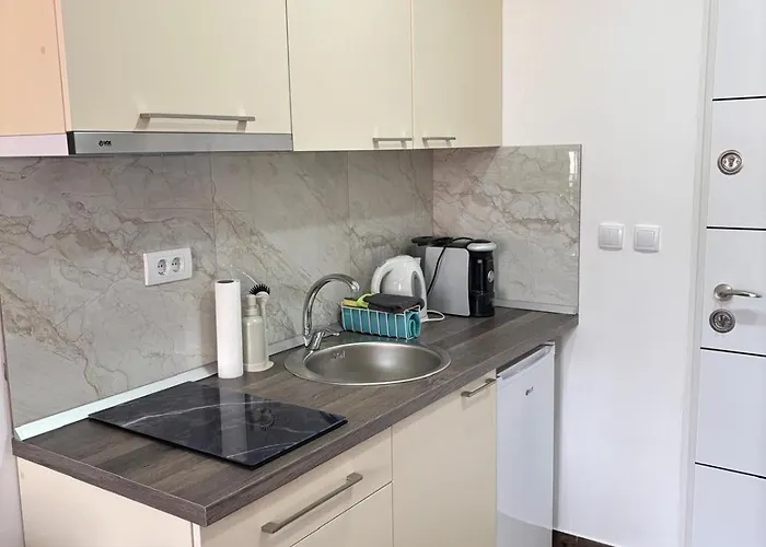 Sojmeskovic 公寓 Veliko Gradište