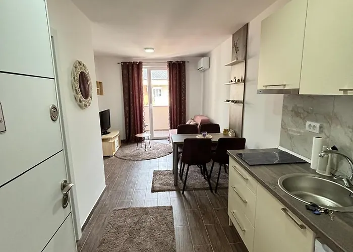 公寓 Sojmeskovic Veliko Gradište