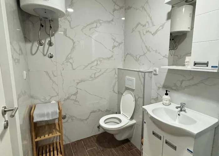 公寓 Sojmeskovic Veliko Gradište